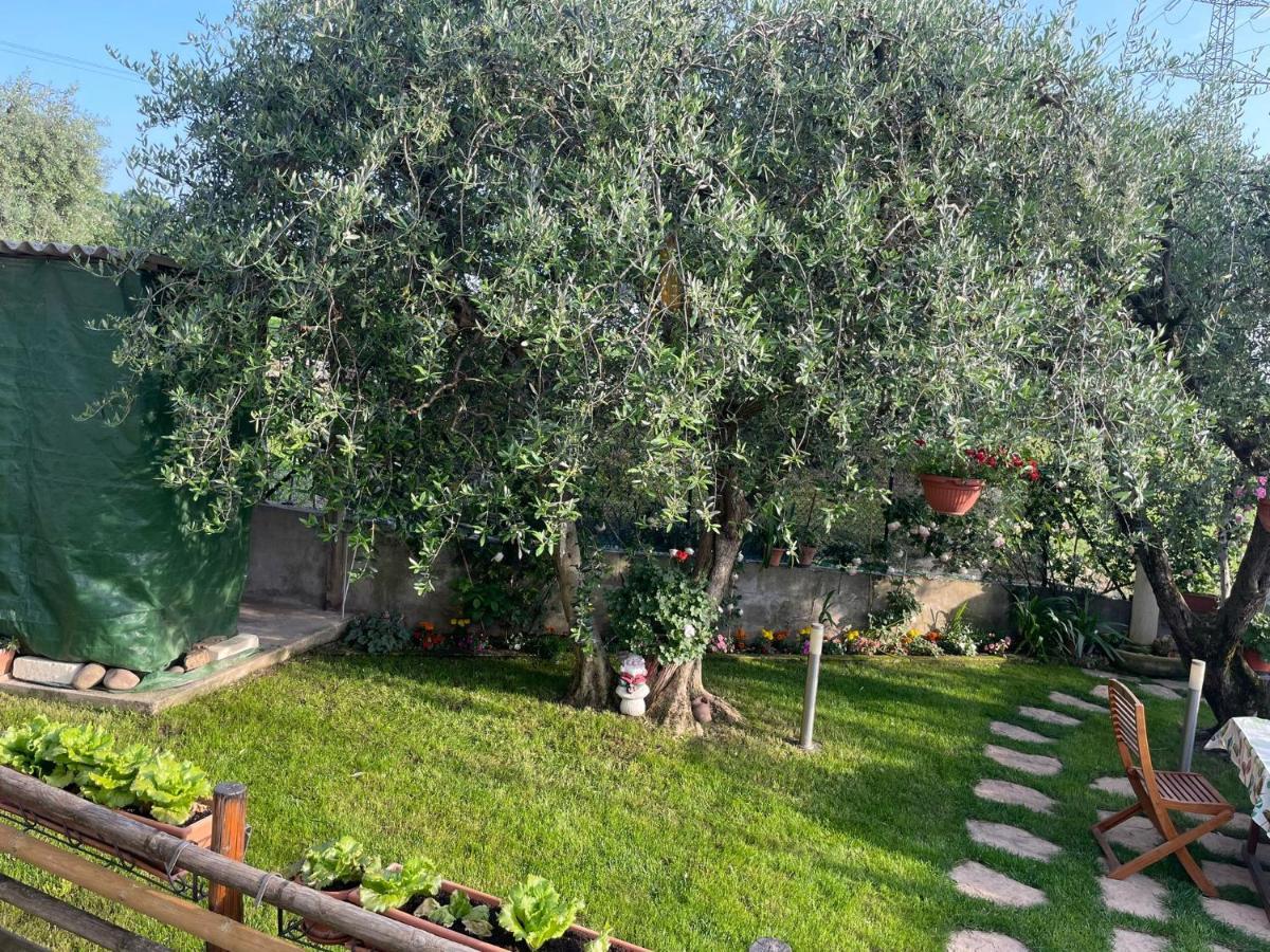 Casa Vacanze Collina Del Lago Pastrengo Buitenkant foto